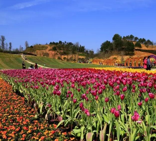 南昌四季花谷景区门票? 南昌四季花谷景区门票?